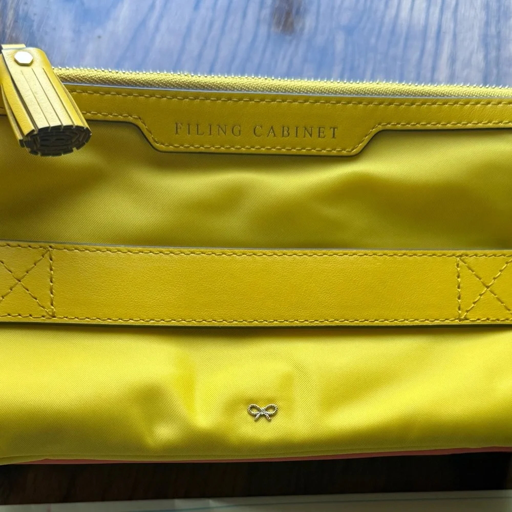 Anya Hindmarch rainbow The Filing Cabinet pouch clutch - Picture 3 of 7